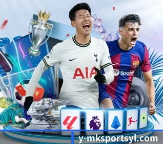 MK体育 APP